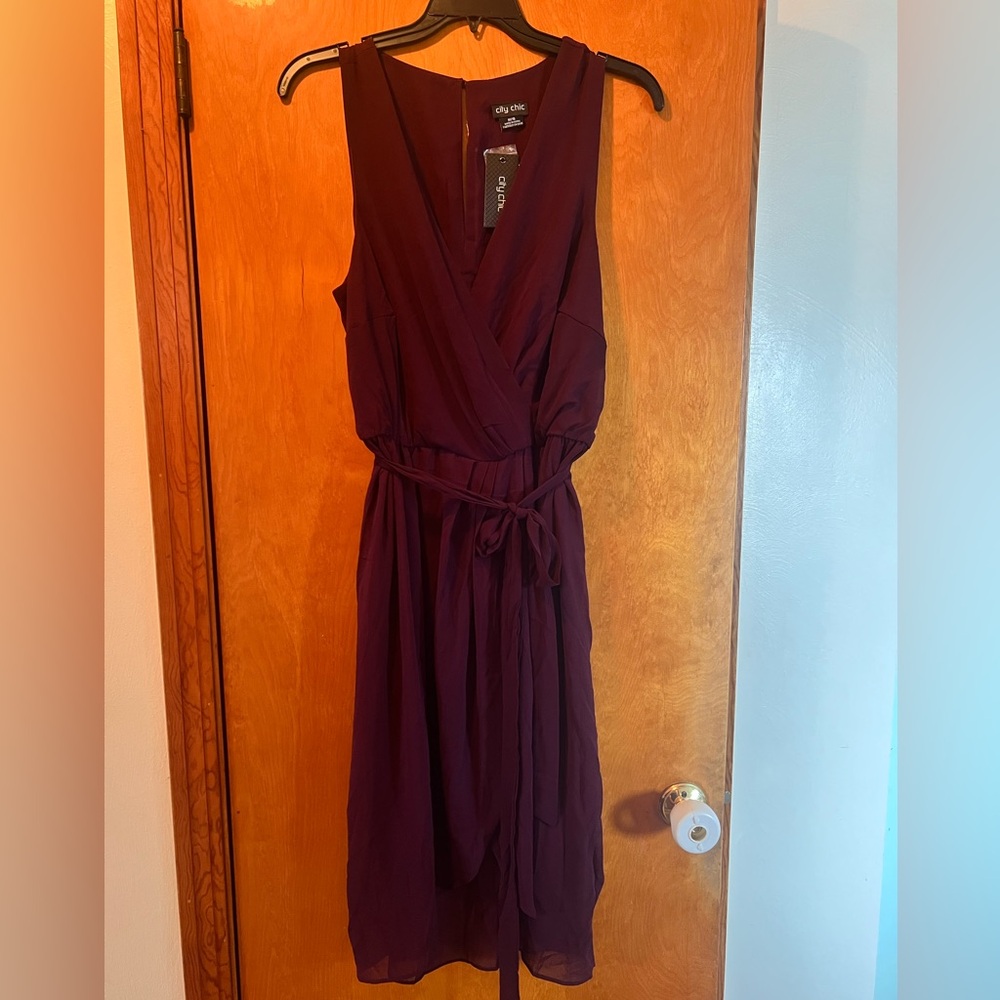 Elegant Burgundy Sleeveless Dress